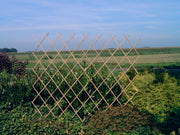 Bambus-Gitter-Mundharmonika